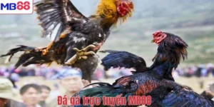 Đá gà trực tuyến MB88